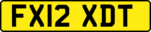 FX12XDT