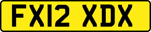 FX12XDX
