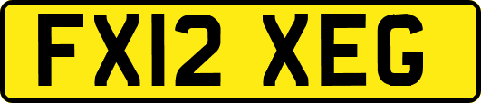 FX12XEG