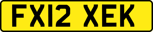 FX12XEK