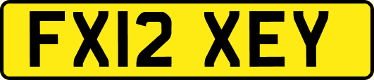 FX12XEY