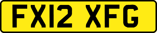 FX12XFG