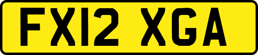 FX12XGA