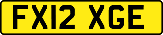 FX12XGE