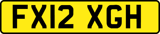 FX12XGH