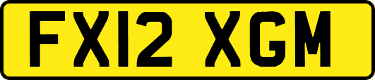 FX12XGM