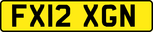 FX12XGN
