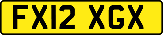 FX12XGX