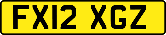 FX12XGZ