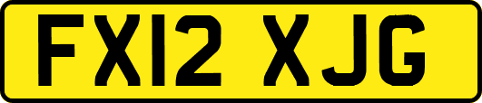 FX12XJG