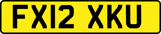 FX12XKU