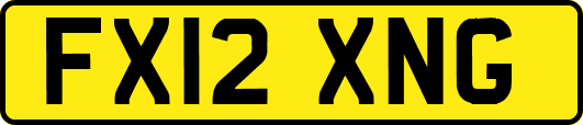 FX12XNG