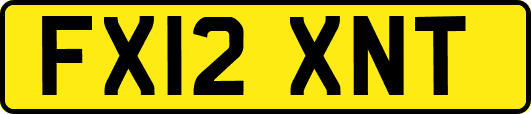FX12XNT