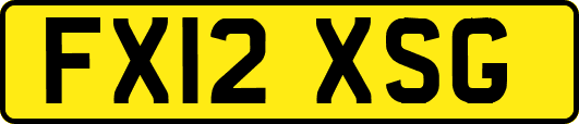 FX12XSG