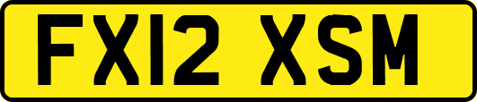FX12XSM