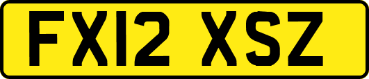 FX12XSZ
