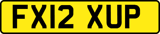 FX12XUP
