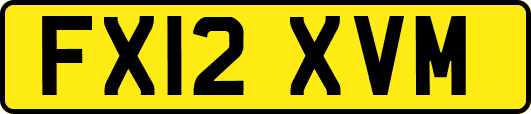 FX12XVM