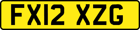 FX12XZG