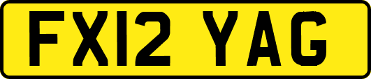 FX12YAG