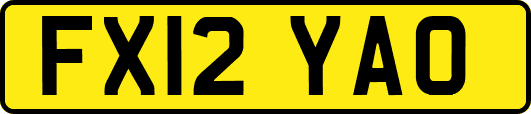 FX12YAO