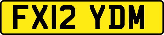 FX12YDM