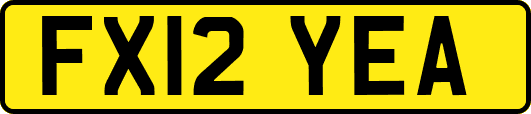 FX12YEA