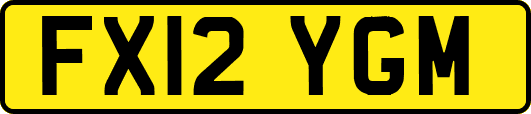 FX12YGM