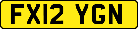 FX12YGN