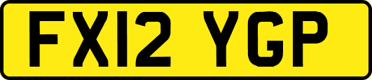 FX12YGP