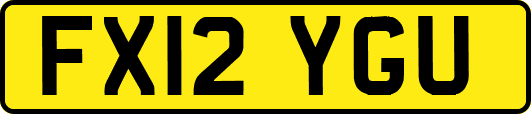 FX12YGU