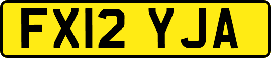 FX12YJA