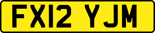 FX12YJM