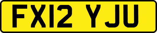 FX12YJU