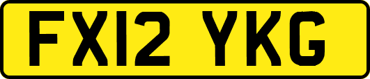 FX12YKG