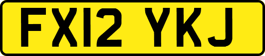 FX12YKJ