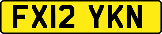 FX12YKN