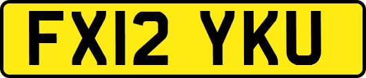 FX12YKU