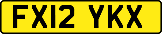 FX12YKX