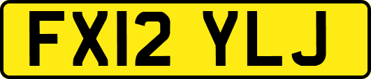 FX12YLJ