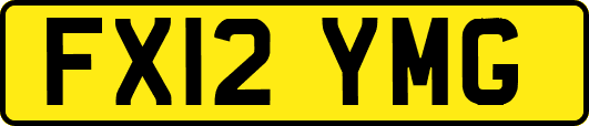 FX12YMG