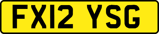 FX12YSG