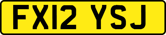 FX12YSJ