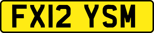 FX12YSM