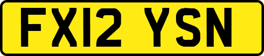 FX12YSN