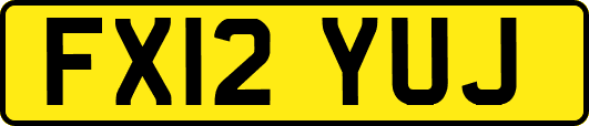 FX12YUJ