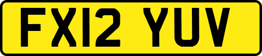 FX12YUV