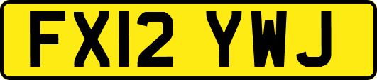 FX12YWJ