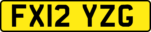 FX12YZG