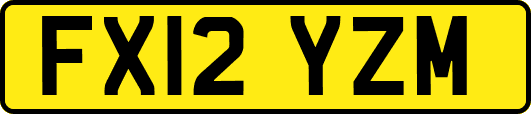FX12YZM